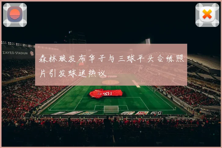 森林狼发布华子与三球平头合练照片引发球迷热议