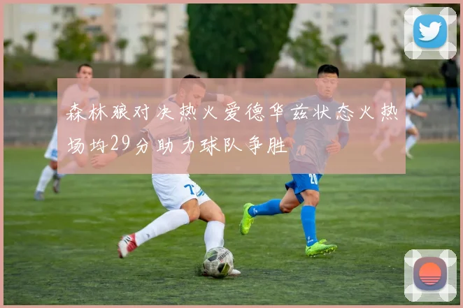 森林狼对决热火爱德华兹状态火热场均29分助力球队争胜