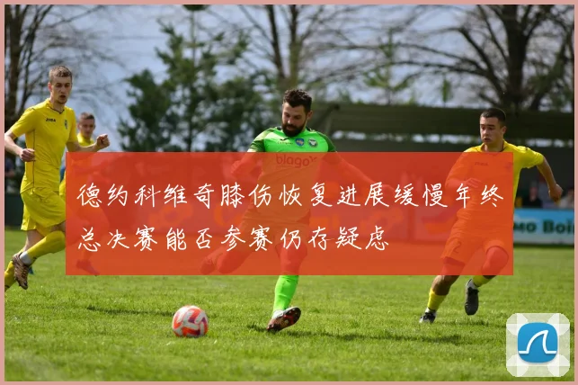 德约科维奇膝伤恢复进展缓慢年终总决赛能否参赛仍存疑虑