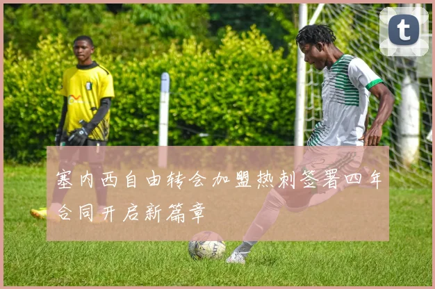 塞内西自由转会加盟热刺签署四年合同开启新篇章
